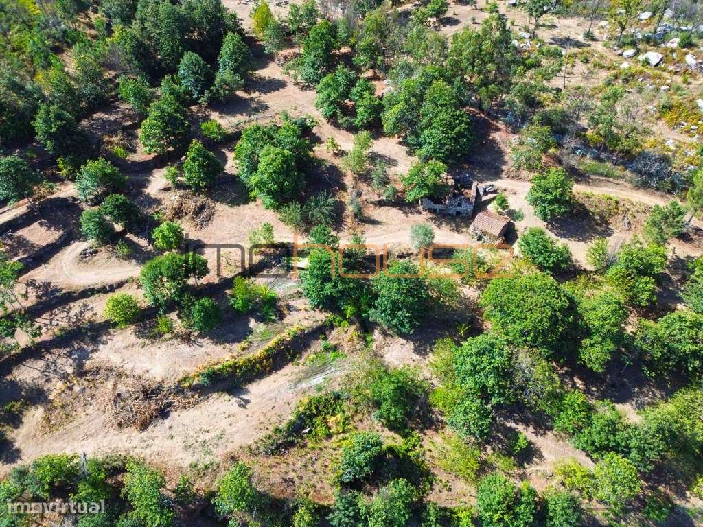 Quinta de 2ha com vista panorâmica - Freigil-7