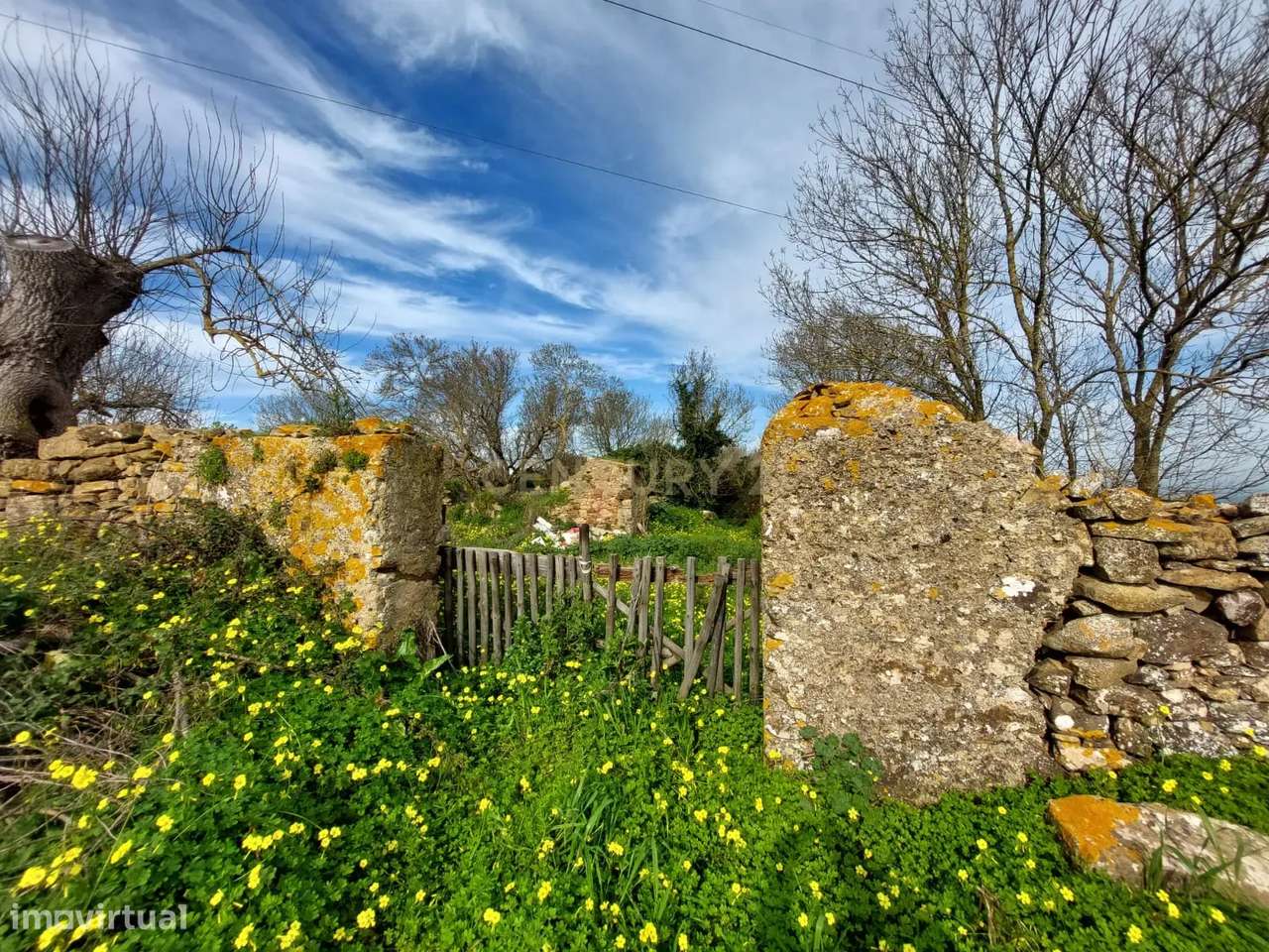 Quinta - 25 hectares-16