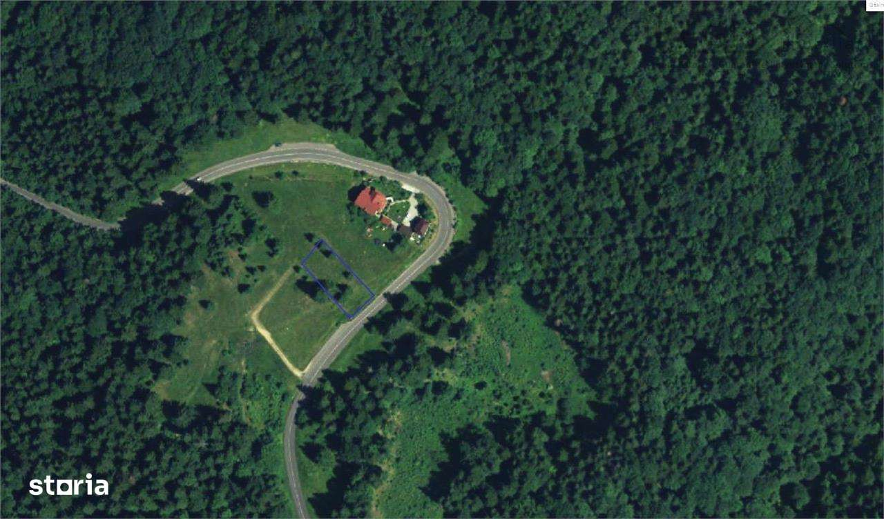 Teren Intravilan 1000MP Utilitati 3 Brazi Predeal - Imagine principală: 5/6