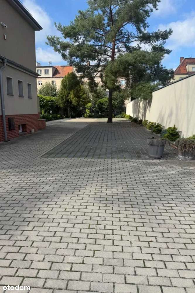 Powierzchnia biurowa do wynajęcia - Gaj - Pełny obrazek: 3/6