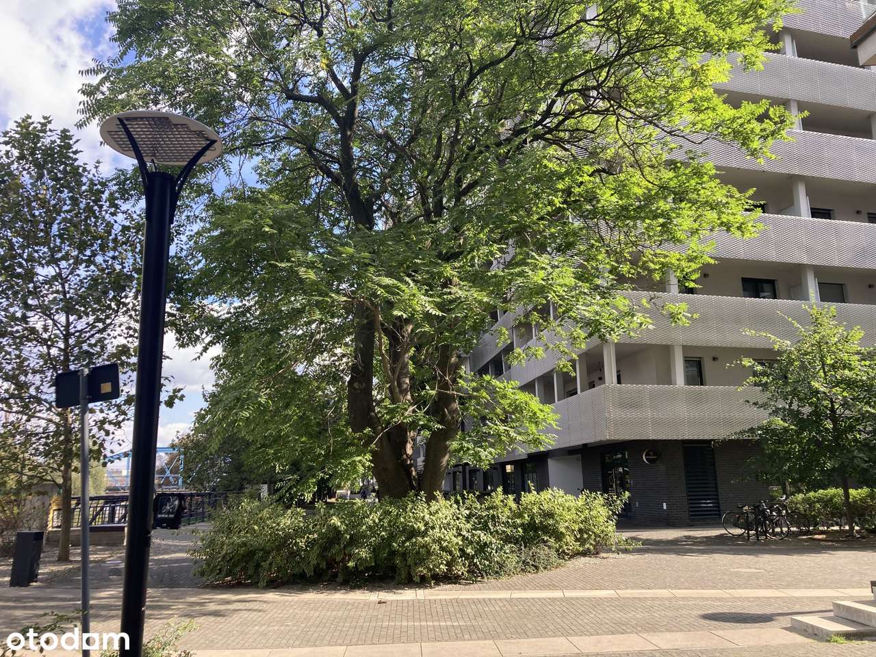 Duży luksusowy apartament z tarasem - Atal Towers - Pełny obrazek: 2/12