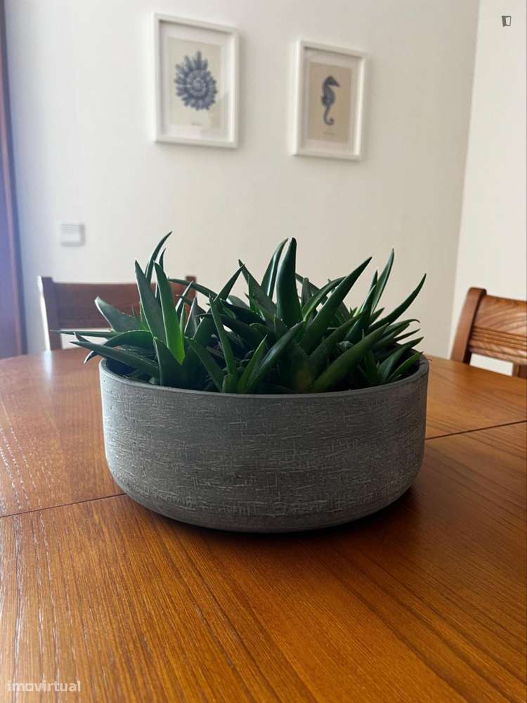 Apartamento com 1 quartos - localizado em Aveiro - Grande imagem: 3/9