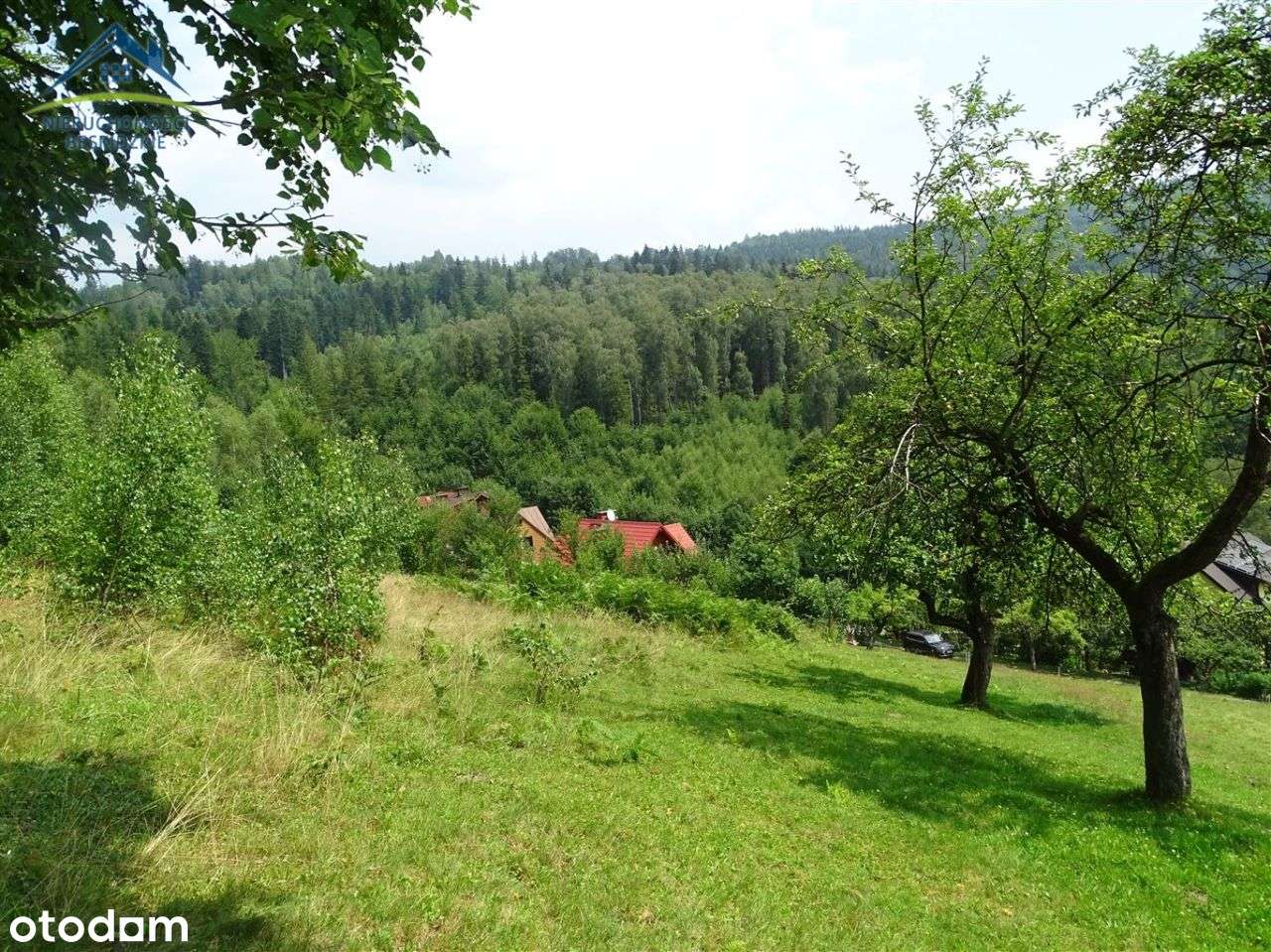 Działka budowlana ponad centrum Wisły!-3
