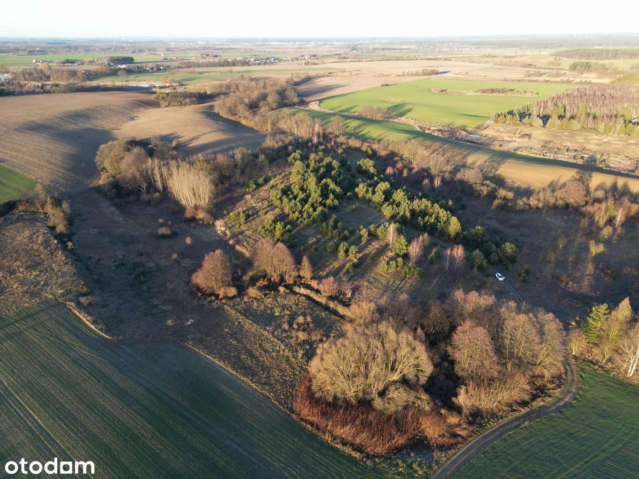 Działka rolna 10140 m2 Nienawiszcz gm. ROGOŹNO-3