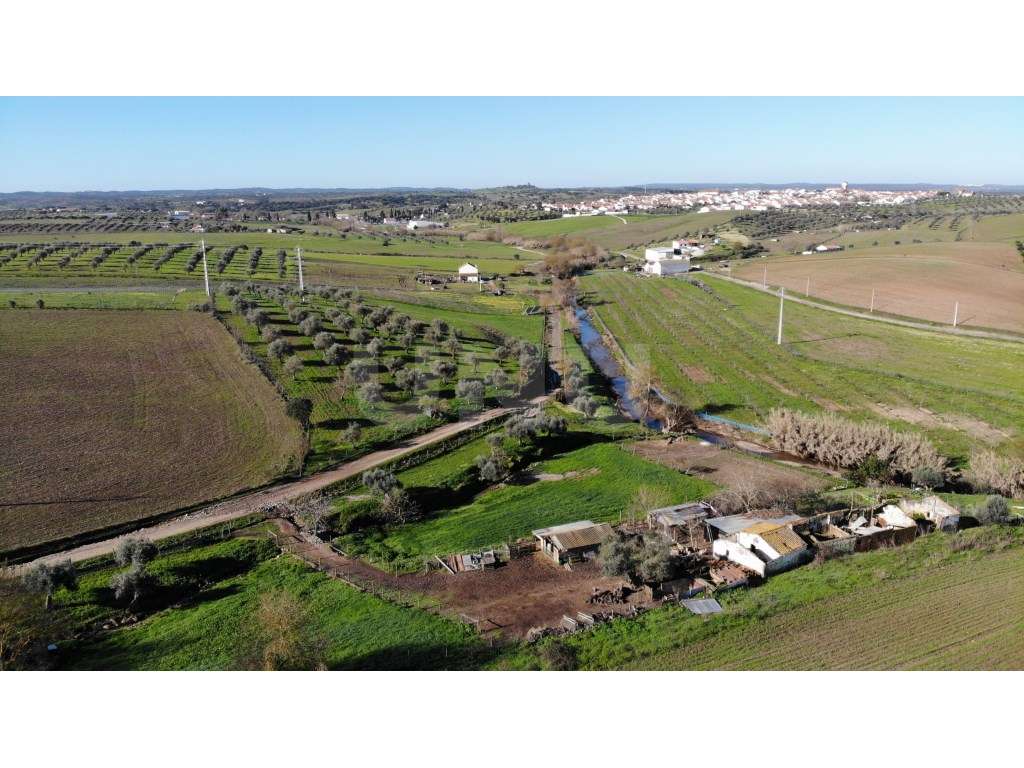 Quinta Alentejana com Ruína, Olival e Nascente - Grande imagem: 2/27