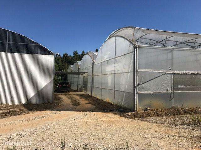 Terreno em Samuel-2