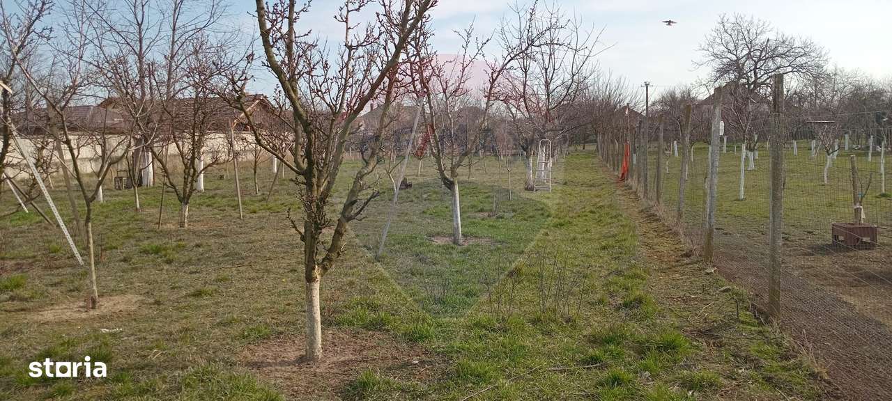 Teren Vladimirescu-  Zona Excelenta  2954 MP INTRAVILAN!!!-2