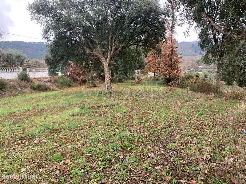 Terreno / Fundão, Aldeia de Joanes - Grande imagem: 4/10