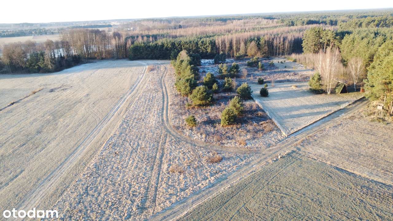 Działka rolna przy lesie  9893 m², Postolin k. Milicza-0