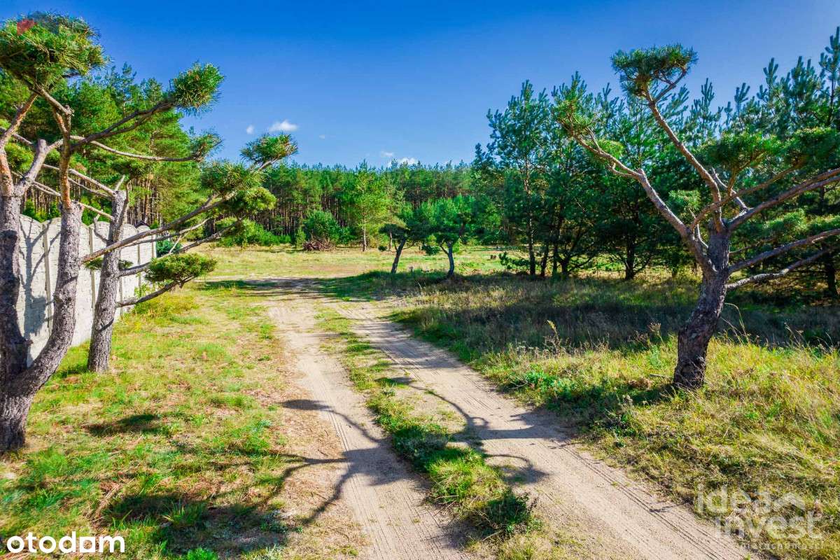 Wyjątkowa Działka Budowlana nad Gwdą!-3