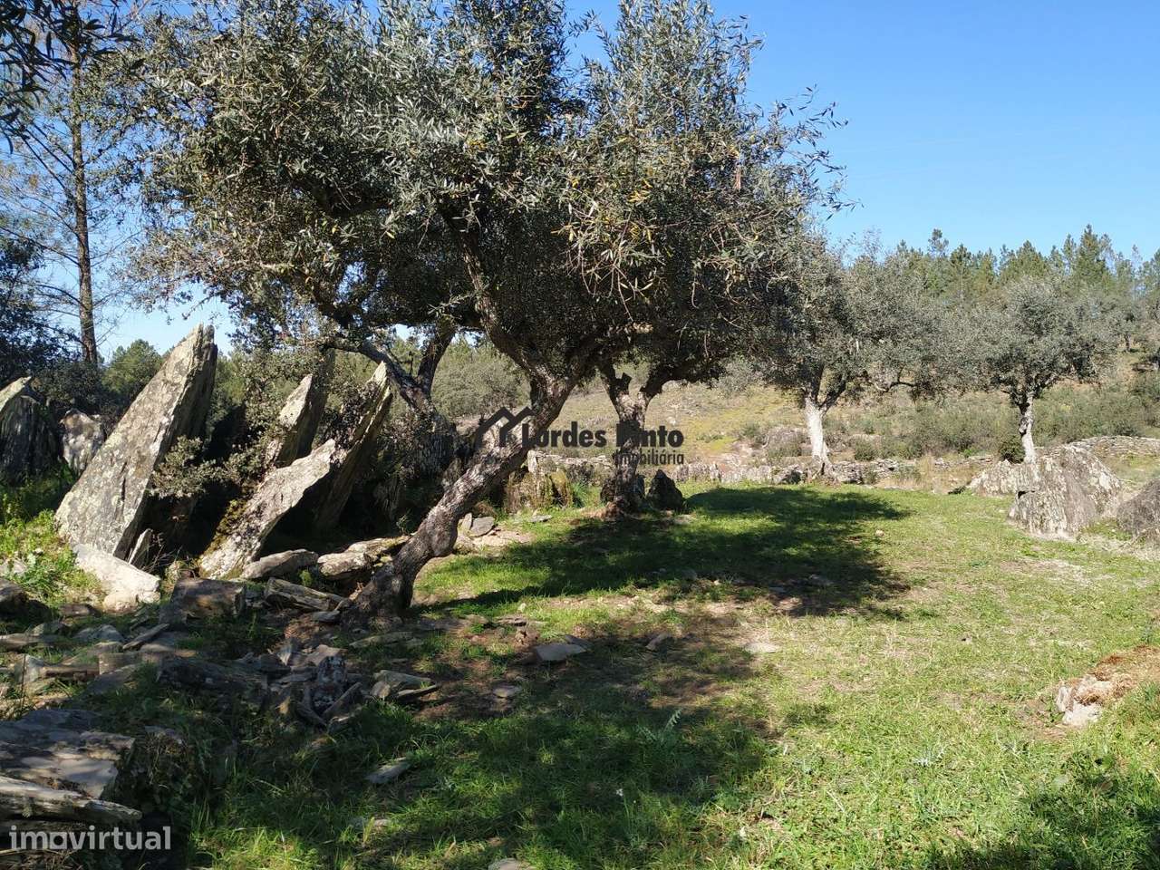 Terreno em Benquerenças-9