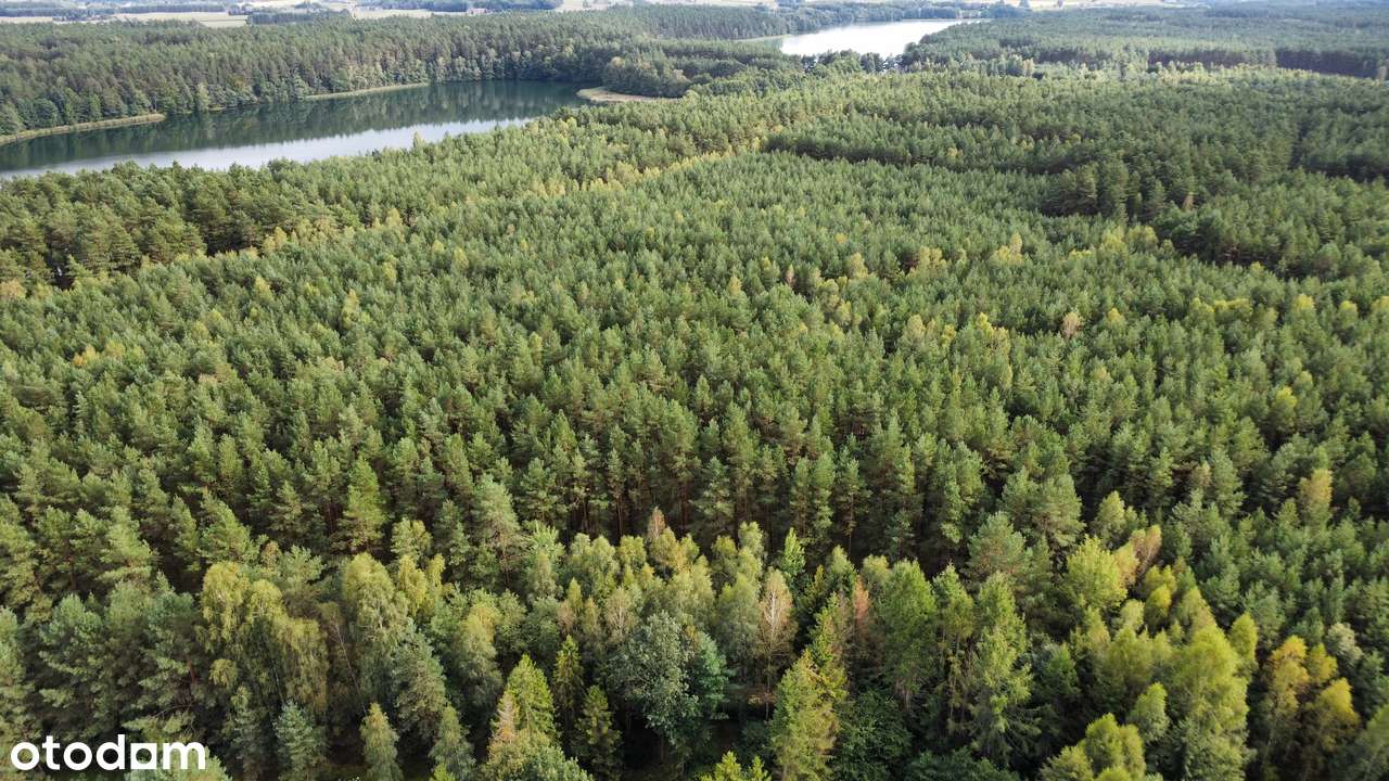 Idealna działka pomiędzy 2 jeziorami - Pełny obrazek: 4/4