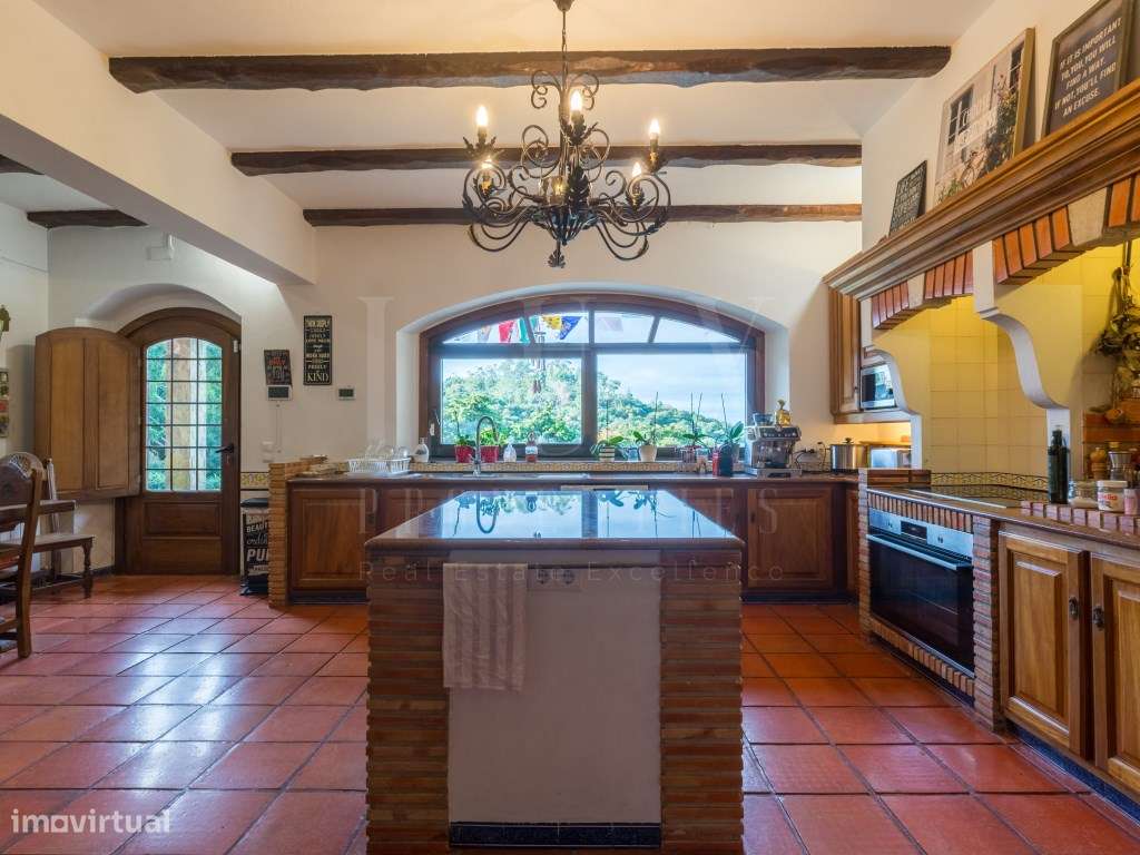 QUINTA COM 22.000 m² E TRÊS MORADIAS EM LOCALIZAÇÃO PRIVILEGIADA DE...-13