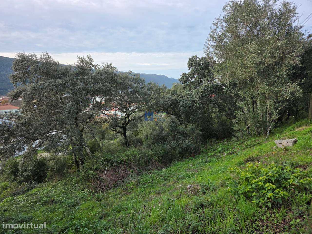 Lotes de terreno em Minde-22