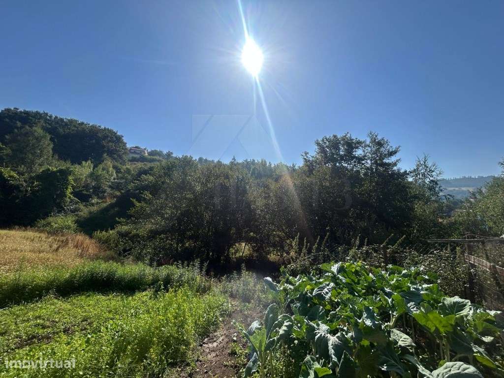 Terreno para construção, em Insalde - Grande imagem: 3/13