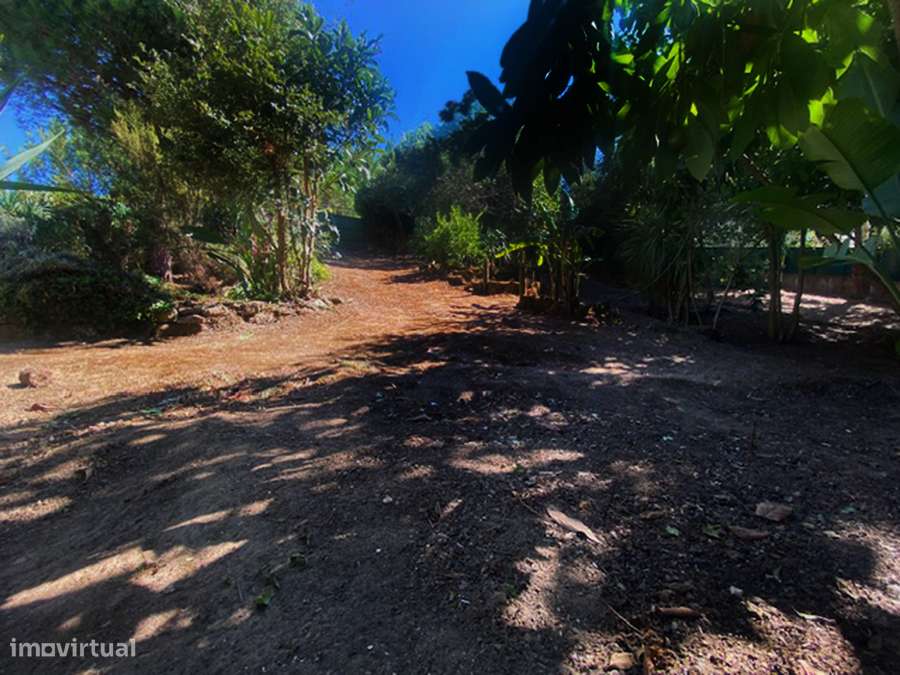 Moradia T5 grande propriedade, pleno campo, arredores Caldas da Rainha-9