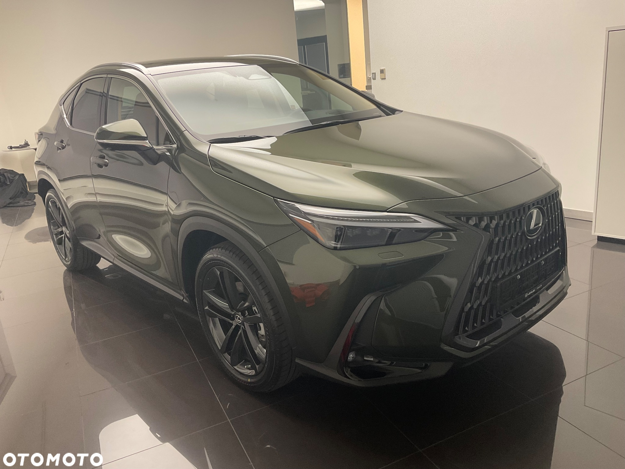 Lexus NX - 12