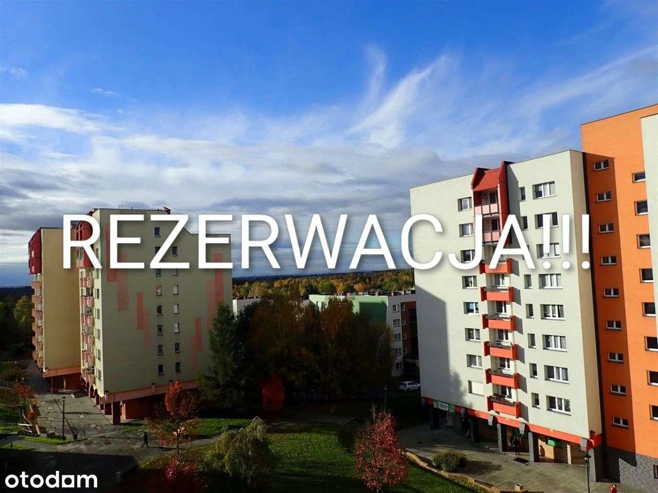Sprzedam mieszkanie Wodzisław Śl 2pokoje balkon-0