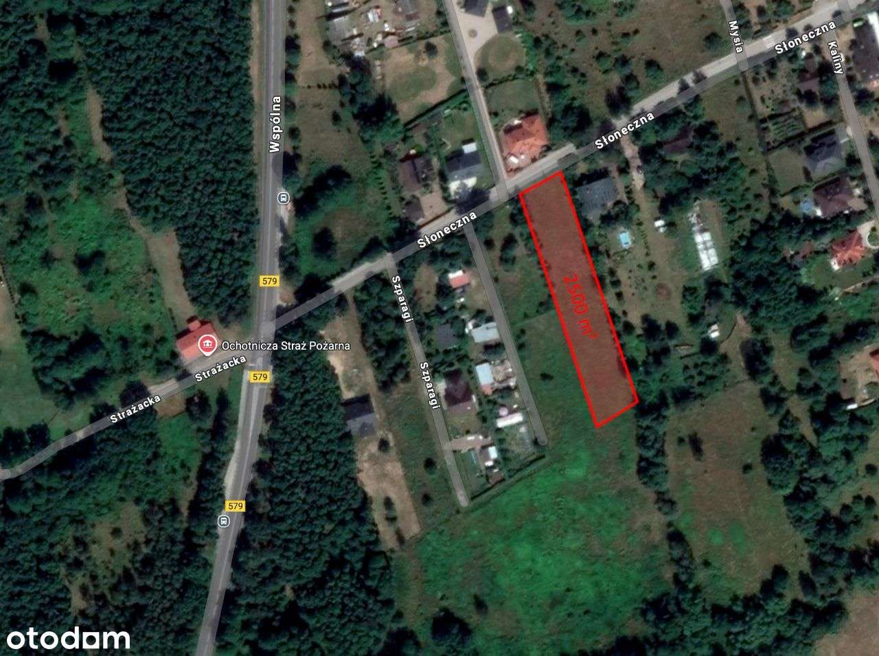 BEZPOŚREDNIO Sowia Wola Folwarczna Park Kampinoski