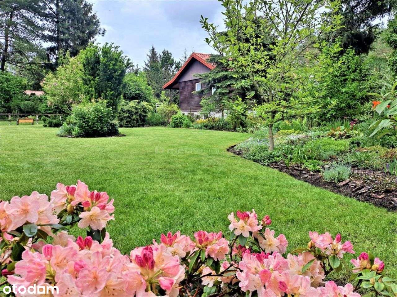 Wspaniała działka rekreacyjna pod Węgrowem. - Pełny obrazek: 4/15