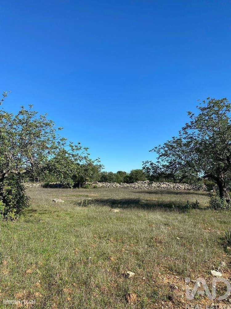 Terreno Agrícola em São Brás de Alportel de 7100,00 m2 - Grande imagem: 5/15