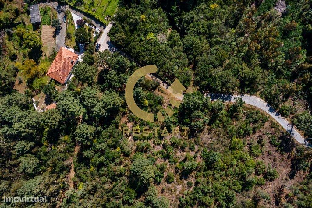 Terreno Ancede - Grande imagem: 5/8