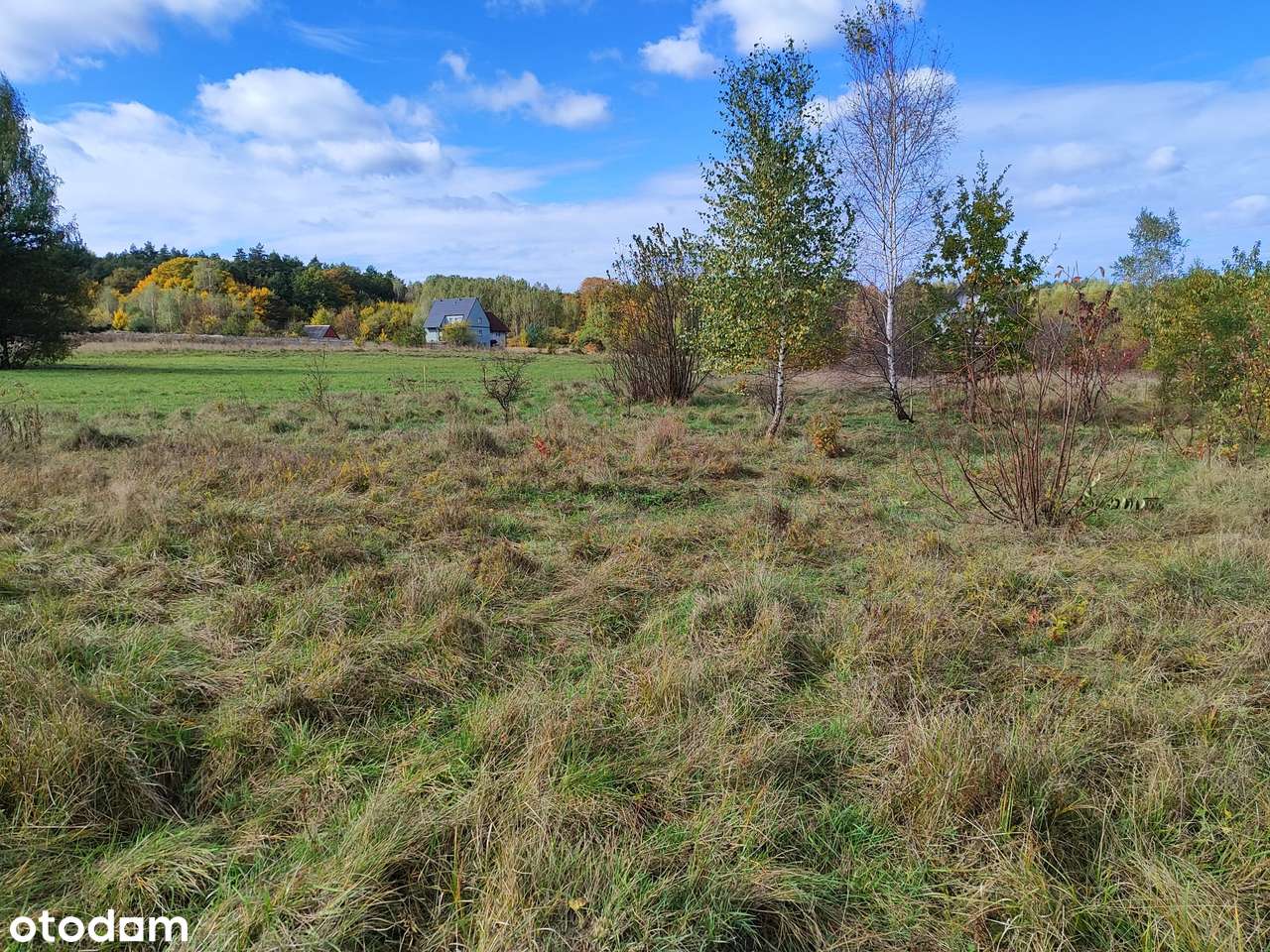 Działki sąsiedztwie lasu. - Pełny obrazek: 3/4