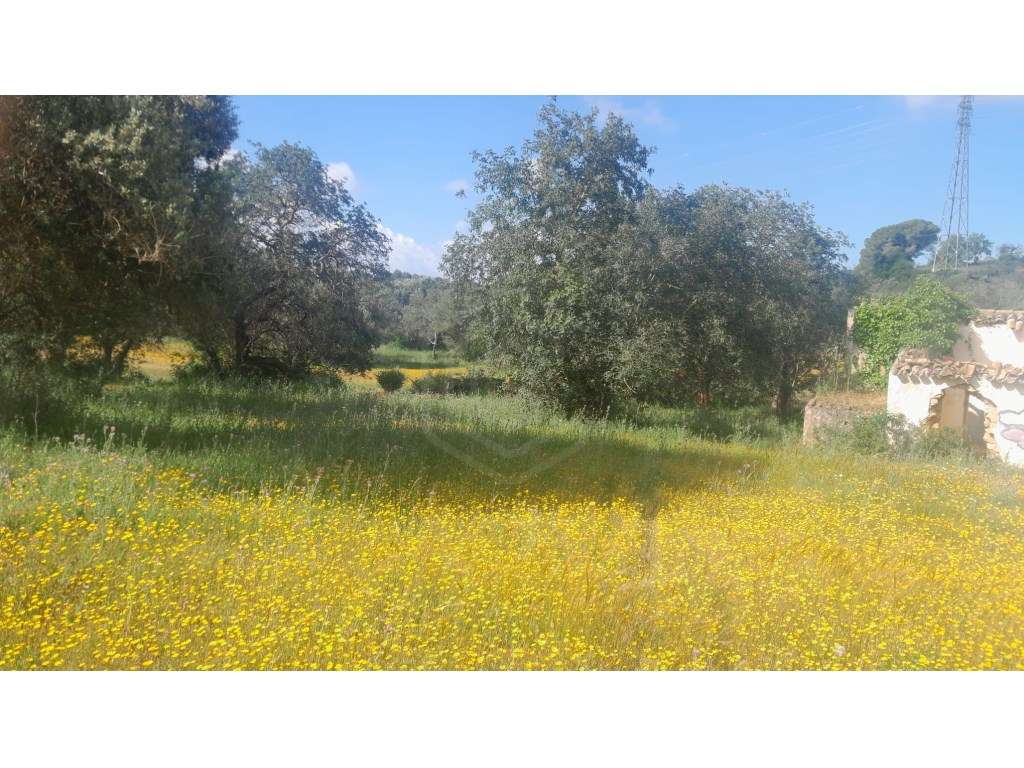 Ruína com 6 divisões em Vale Serves, Albufeira, Algarve - Grande imagem: 4/15