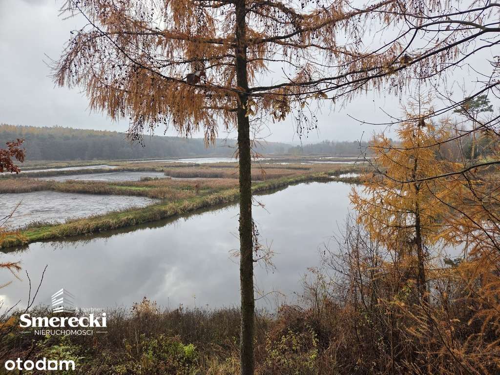 Gotowe stawy hodowlane - Pełny obrazek: 1/4