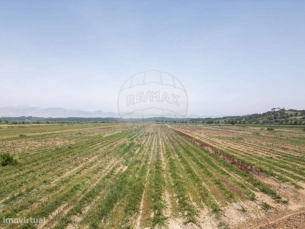 Terreno  para venda - Grande imagem: 3/37