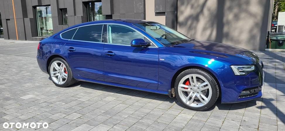 Audi A5 2.0 TDI Sportback (clean diesel) quattro DPF - 20