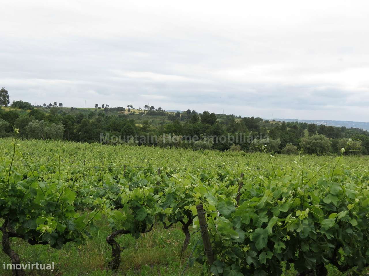 Quinta  Venda em Melo e Nabais,Gouveia - Grande imagem: 5/11