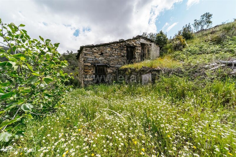 Terreno / Covilhã, Sobral de São Miguel - Grande imagem: 1/20