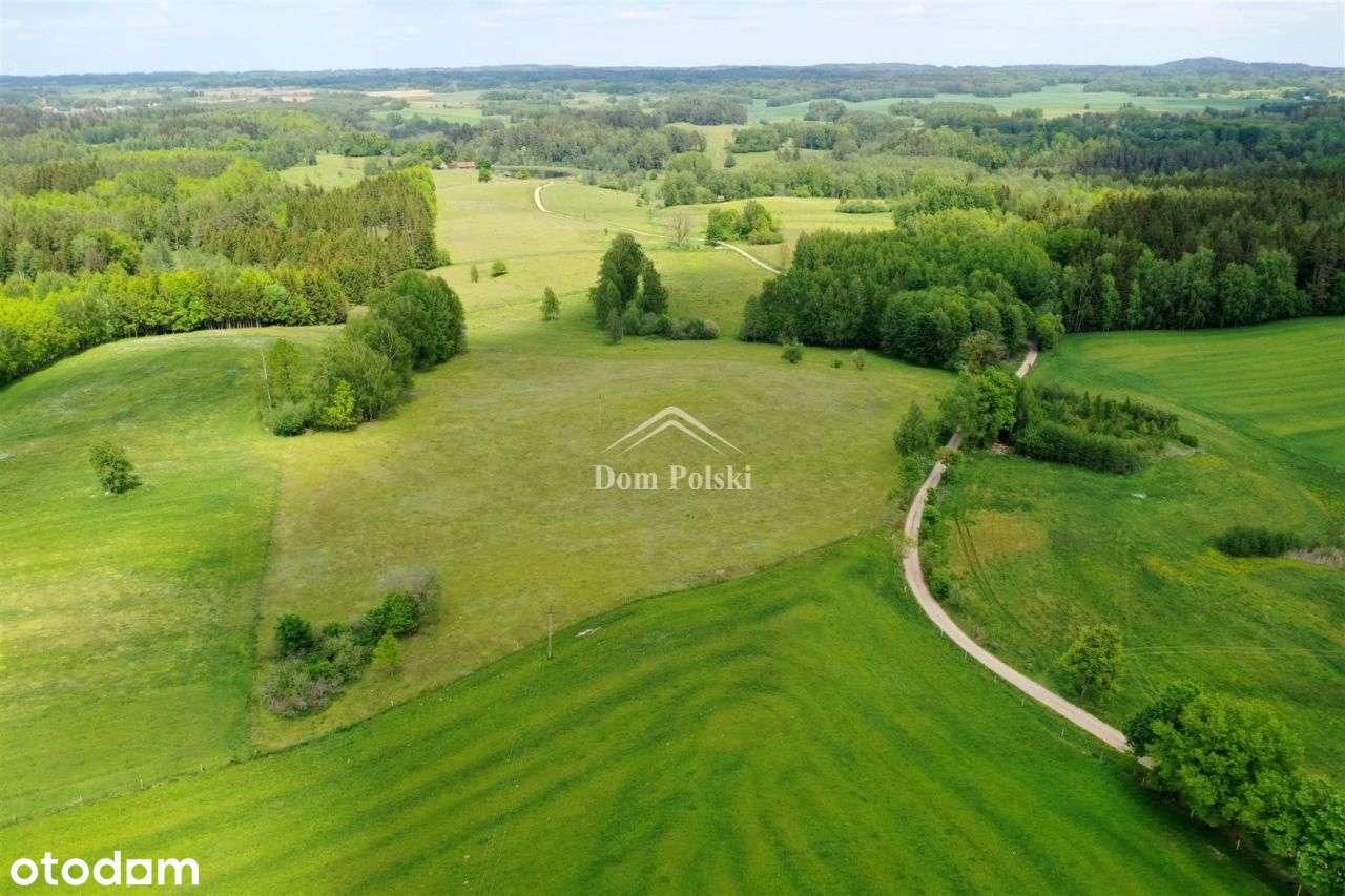 Piękna działka 5,7 ha Jabłonowo - Puszcza Borecka - Pełny obrazek: 5/14