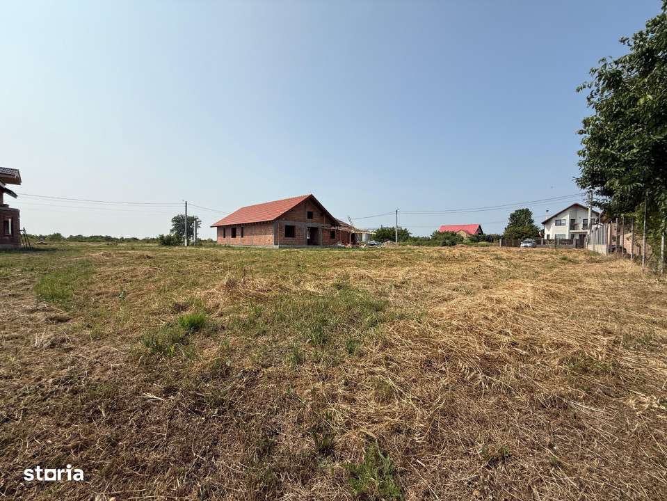 Inchiriem viitorul pe metru patrat, teren 800 mp, intravilan-Peciu Nou - Imagine principală: 4/4