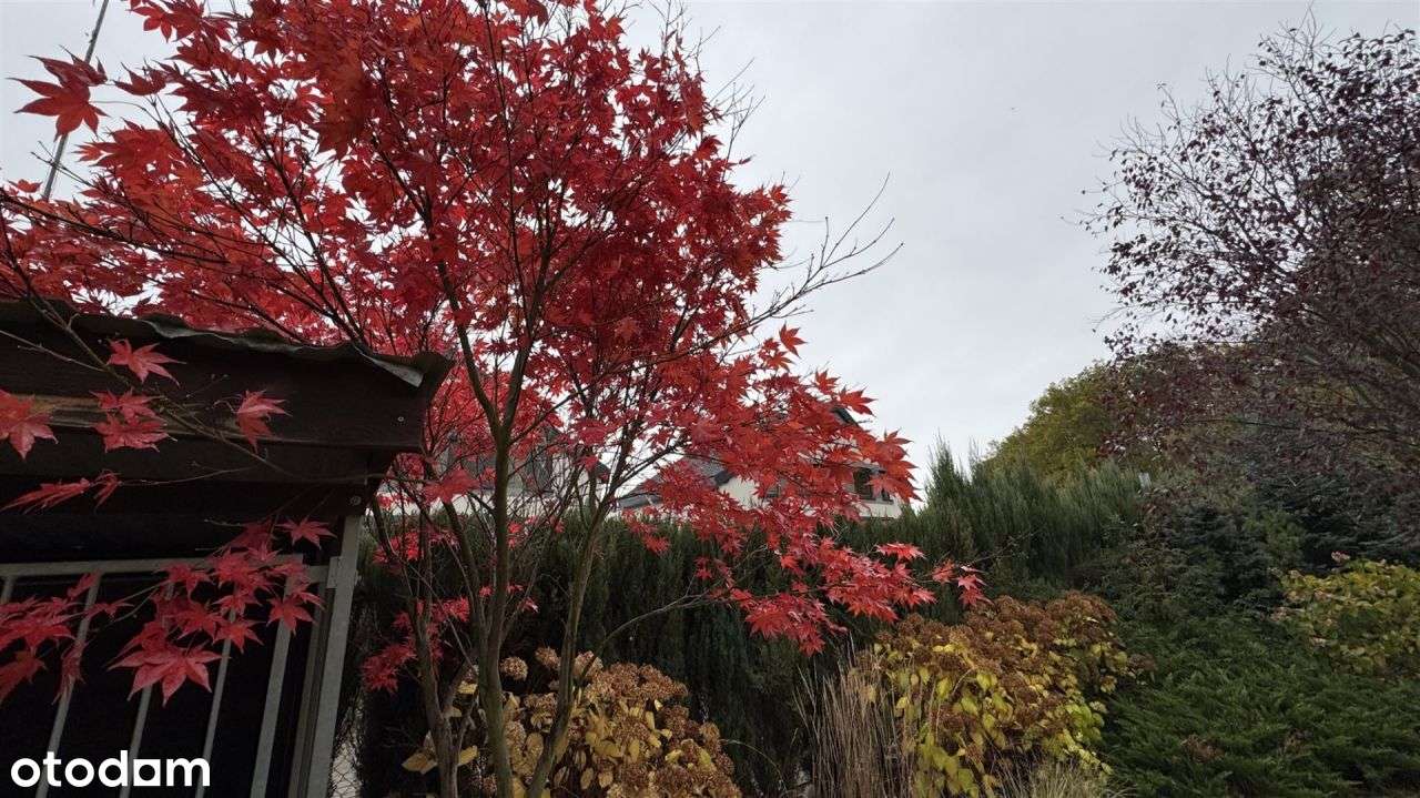 Bliniak, ładna działka, spokojna okolica-5