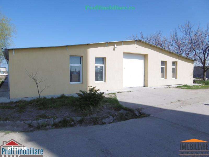 Hale pentru inchiriere aproape de Centura Arad si Autostrada A1 - Imagine principală: 4/14