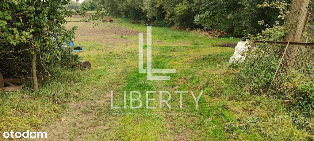 Barnisław - duża działka na wzniesieniu-4