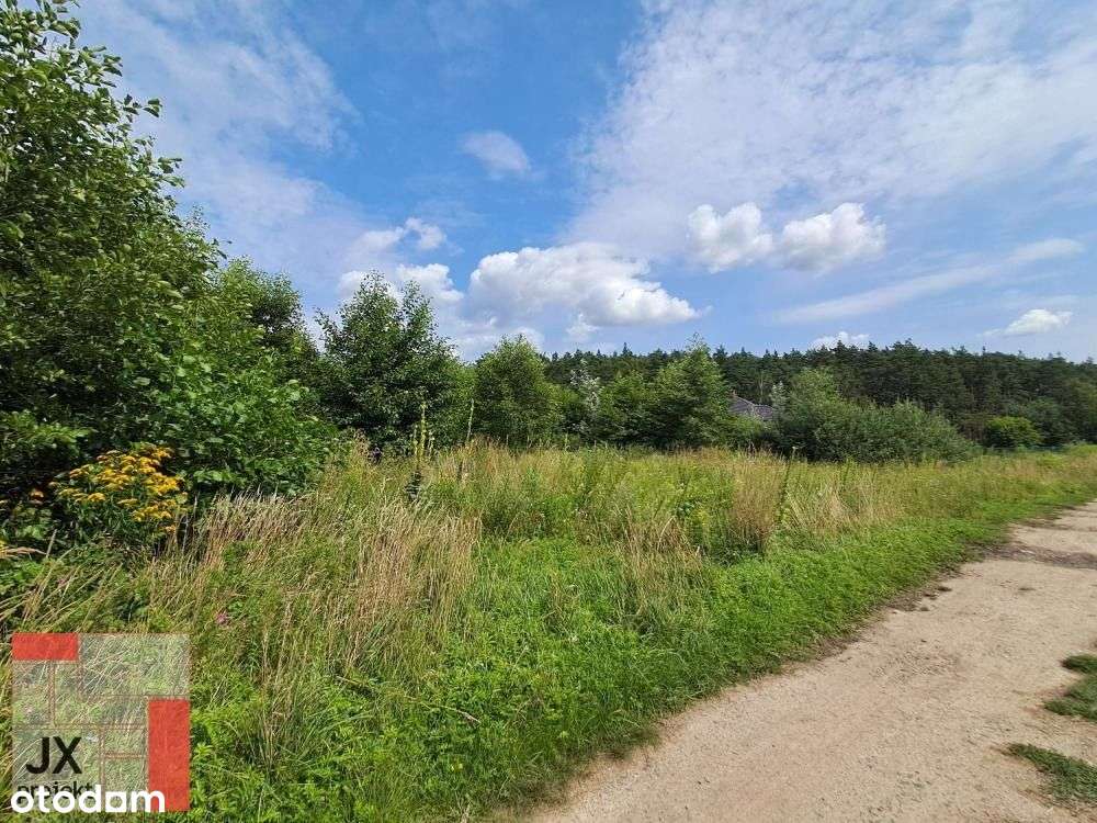 Działka w pobliżu lasu !!! - Pełny obrazek: 4/6