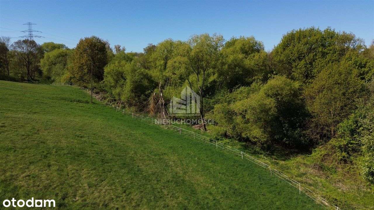 Działki budowlane Skolwin ze ścianą lasu! - Pełny obrazek: 4/6