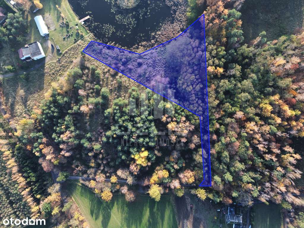 Działka 5000 m² | Widok na wodę | Las - Pełny obrazek: 4/17