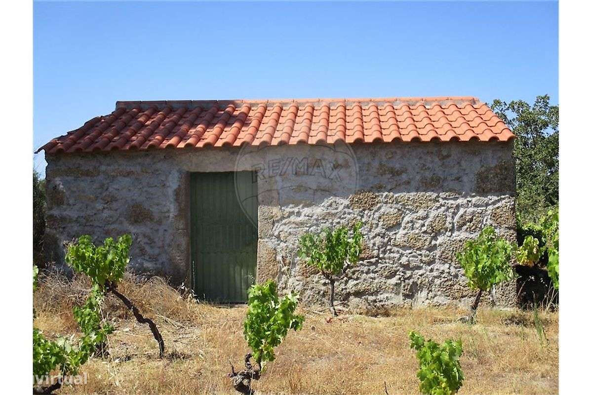 Quinta T0 para venda-3