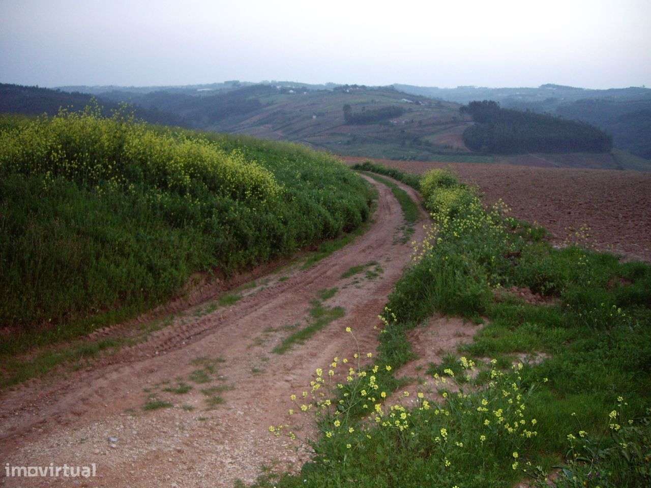 Quinta do Conventinho - Óbidos-12