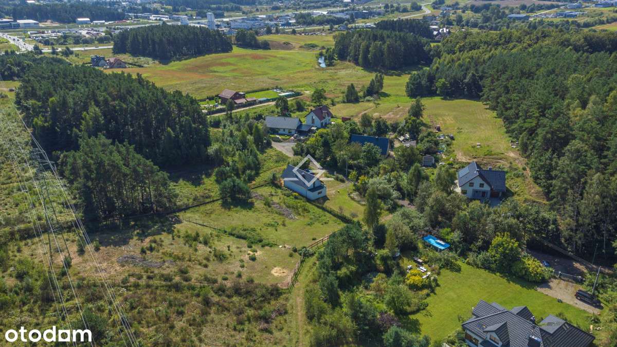 Piękny dom | las w mieście | naturalne oczko wodne - Pełny obrazek: 4/20