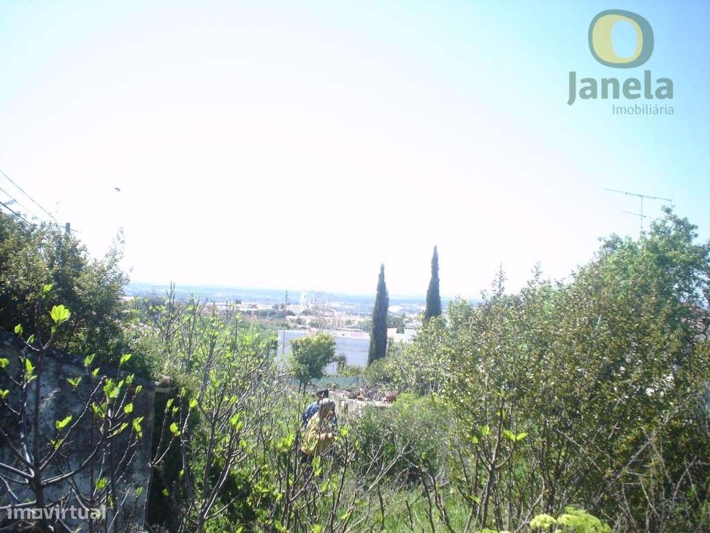 Terreno para construção de moradia - Grande imagem: 3/10