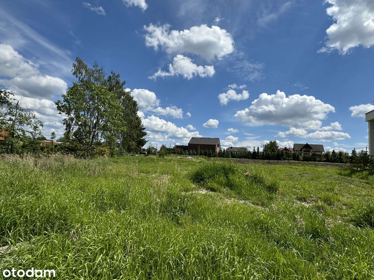 M-CE, MORGI | Idealna działka w znakomitej lokalizacji | Bez prowizji!-4