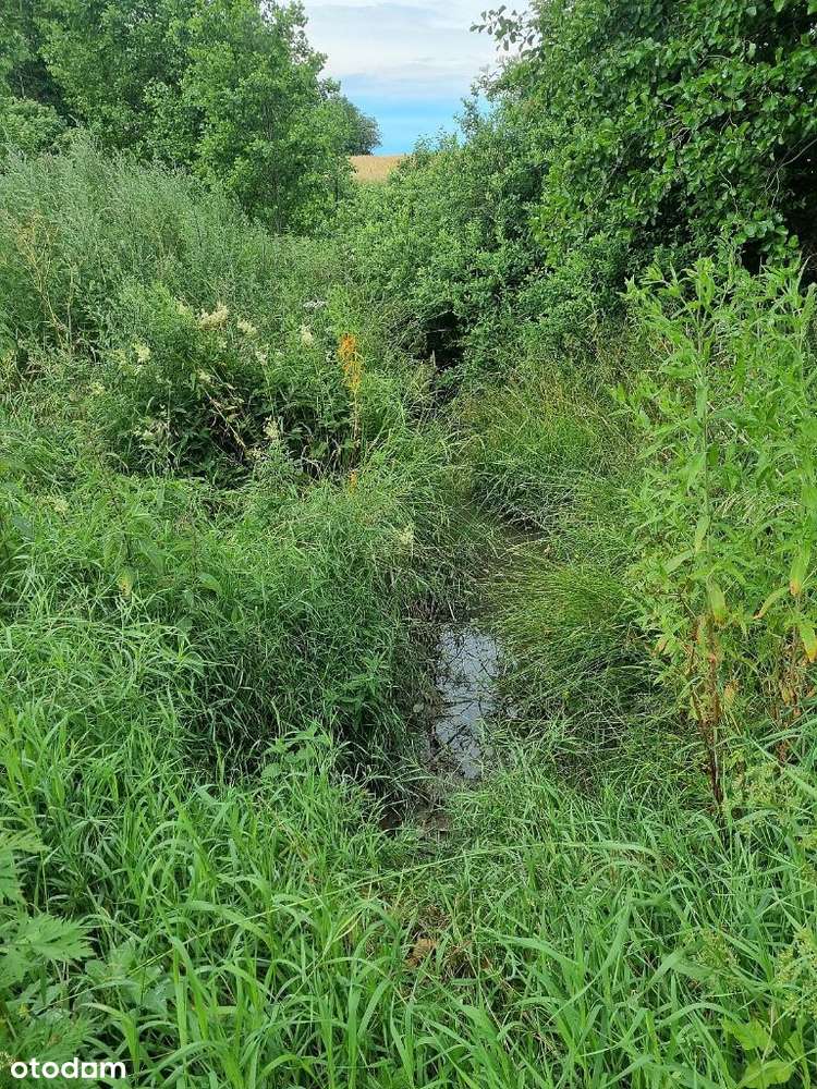 Inwestycja na wiejską osadę 6 domów-2