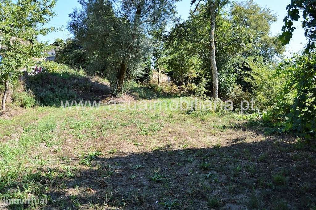 Terreno c/ Viabilidade de Construção - Fiscal - Grande imagem: 4/9