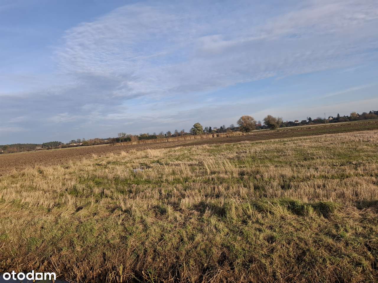 Działki nad morzem budowlano-rolne  Wyspa SobieszewskaGdańsk pomorskie - Pełny obrazek: 4/9