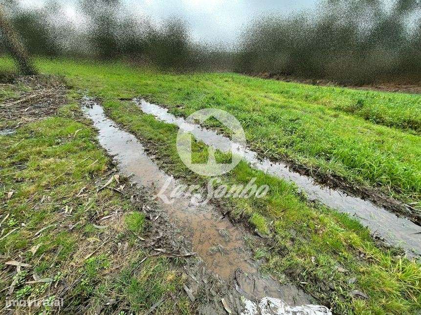 Terreno Rústico com 21.132m² em Balazar, Póvoa de Varzim - Grande imagem: 4/16